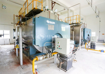 100kW to 10MW Biomass Boiler Germany