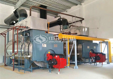 100kW to 10MW Biomass Boiler Germany