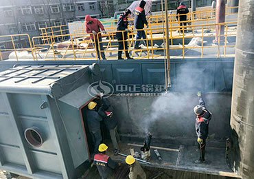 20Ton Gas Fired Boiler In Nigeria