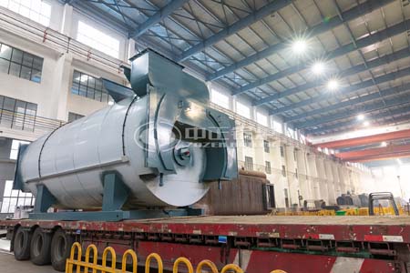 WNS Condensing Steam Boiler Introduction