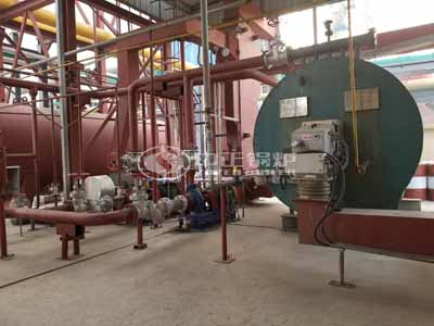 Gas Fired Thermal Fluid Heater Cost