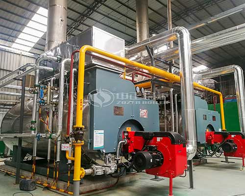 WNS Series Industrial Boiler For Sale