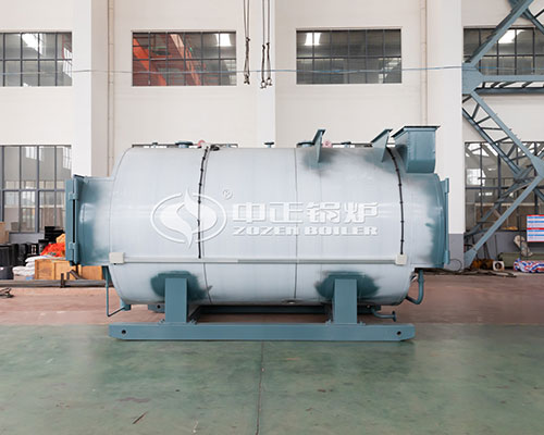 Gas Fired Hot Water Boiler For Sale