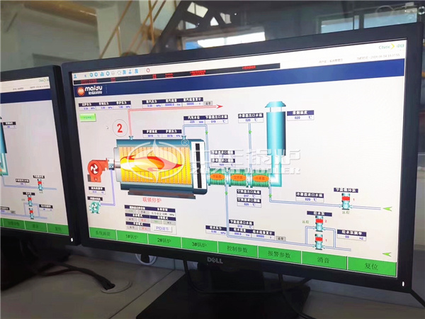 SZS Gas Fired Boilers In Food Industry