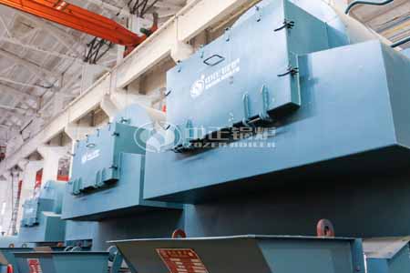 4tph DZL Chain Grate Steam Boiler In Indonesia