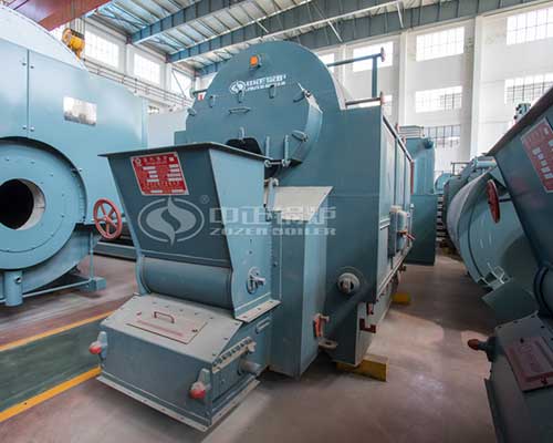 DZL Series Biomass Steam Boiler For Sale