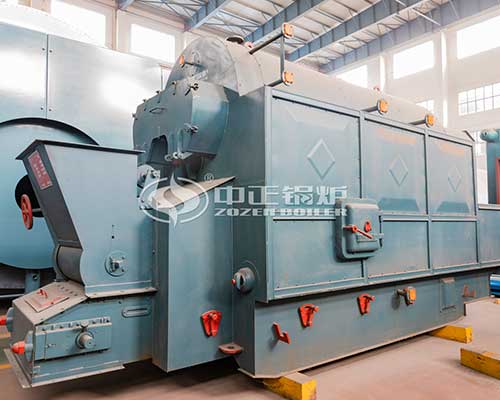 DZL Series Biomass Steam Boiler For Sale