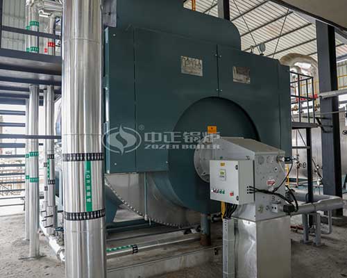 Gas-fired thermal oil boiler manufacturer