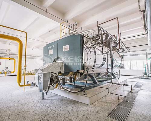 Industrial Oil Fired Steam Boilers Cost