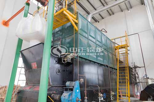 Water Tube Biomass Steam Boiler for Food Factory