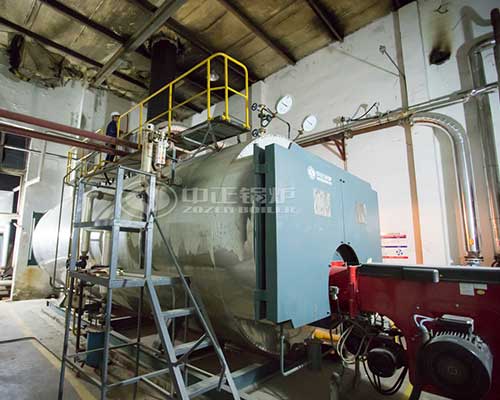 Heavy Oil Steam Boiler in Iraq