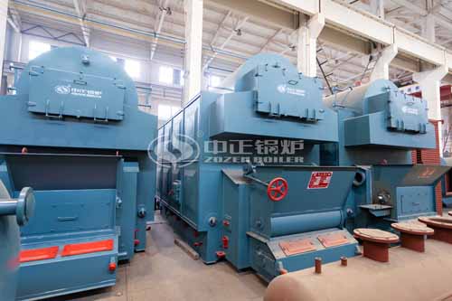 Horizontal Biomass Steam Boiler for Sale