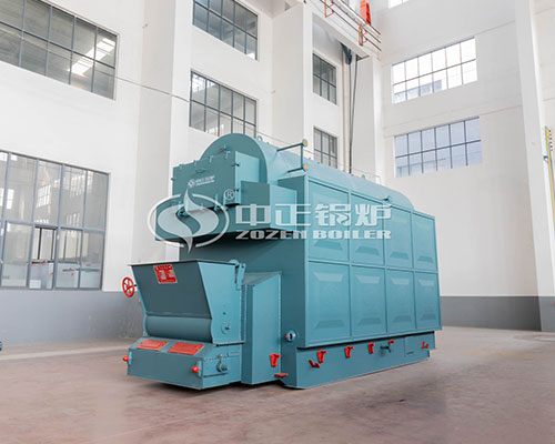 Professional Biomass Steam Boiler Sale