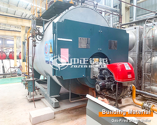 6 Ton WNS Fire Tube Gas Boiler