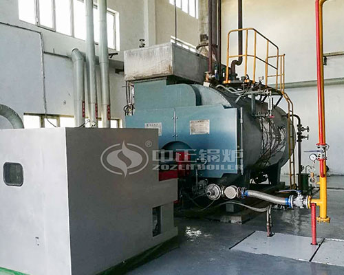 Gas Diesel Fired Steam Boiler for Sale