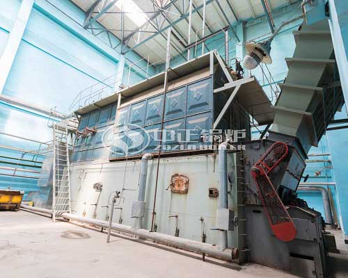 High Quality Biomass Steam Boiler Performance