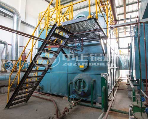 20 Ton Gas-Fired Boiler Cost