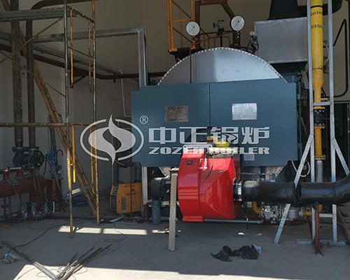 Condensing Gas Steam Boiler Supply