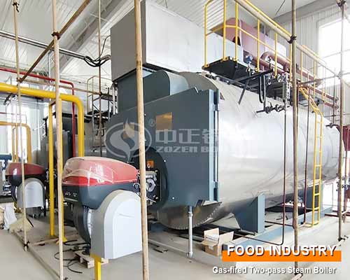 Automatic Gas Steam Boiler Sales