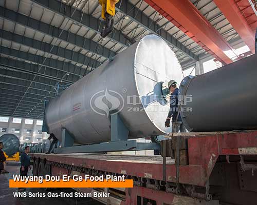 Gas Steam Boilers Used Pharmaceutical Factory