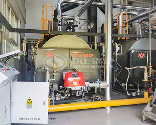 What is the Consumption of 5 ton gas fired boiler