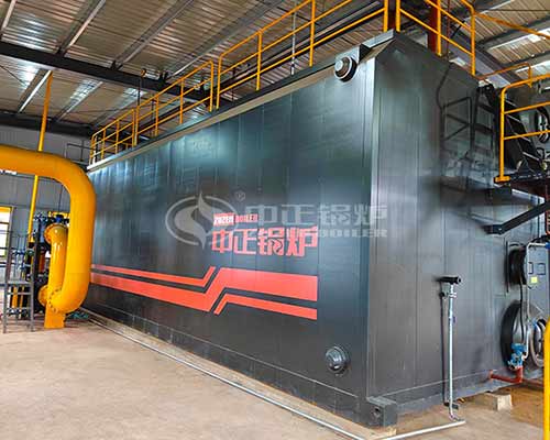 SZS Gas Fired Boiler Manufacturer