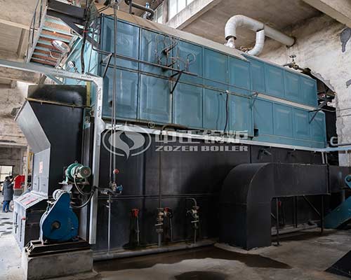 Coal fired DZL series boiler