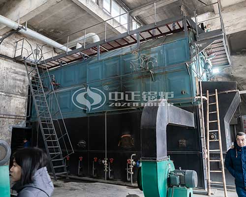 20ton Coal Fired Boiler For Food Industry