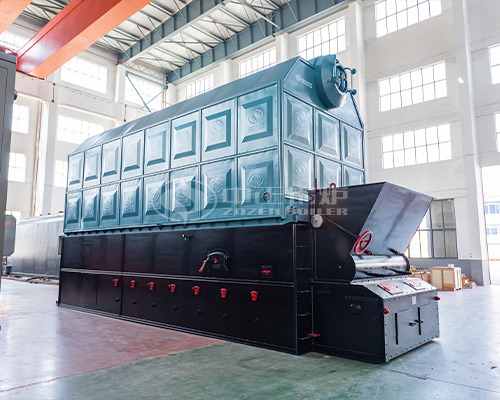 coal biomass fuel steam boiler