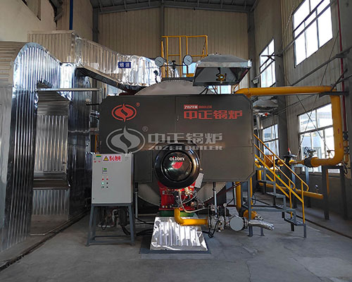 10 ton capacity gas fired boiler