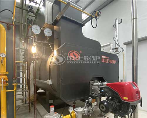 oil and natural gas boilers