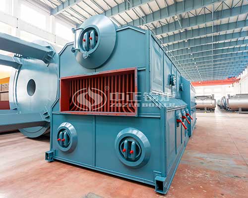 dzl biomass steam boiler