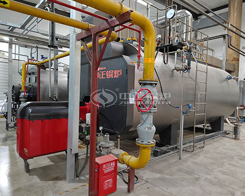 ZOZEN 8 tph gas fired steam boiler