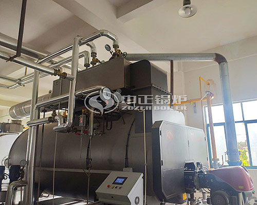 ZOZEN gas fired boiler in packaging industry