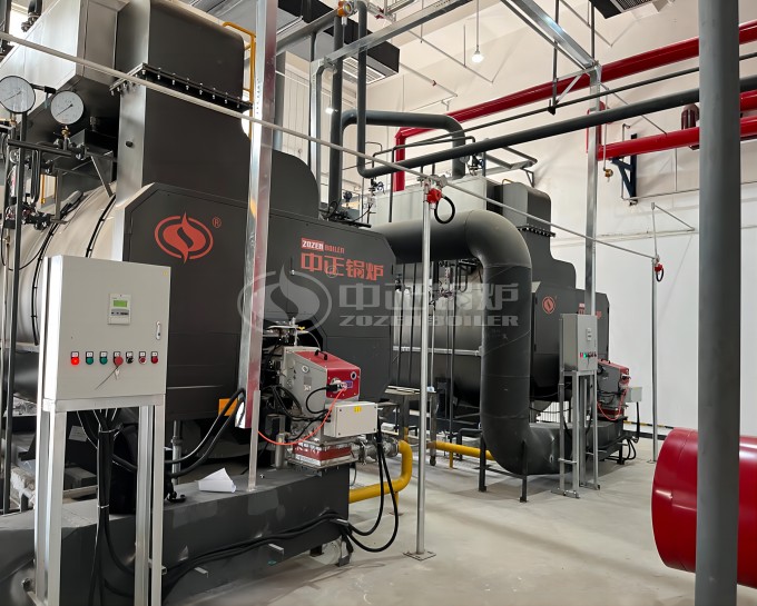 ZOZEN WNS Series Gas Fired Boiler in Pharma Industry