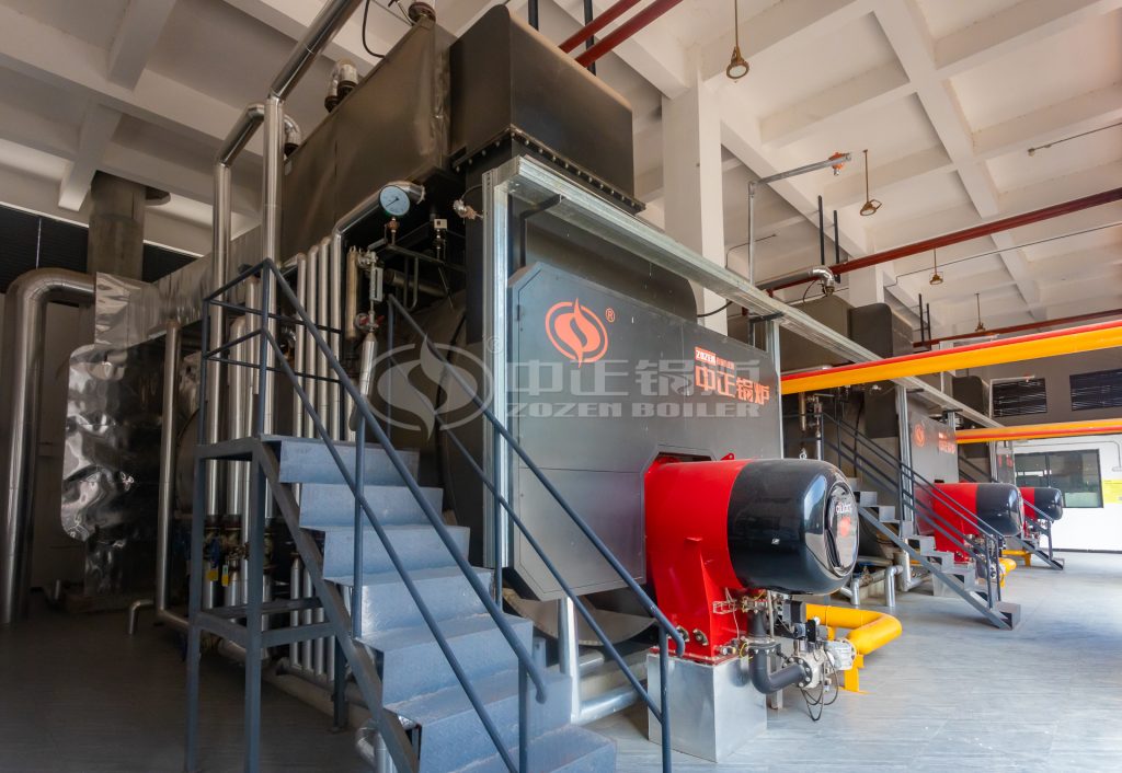 ZOZEN Biogas Boiler Manufacturer