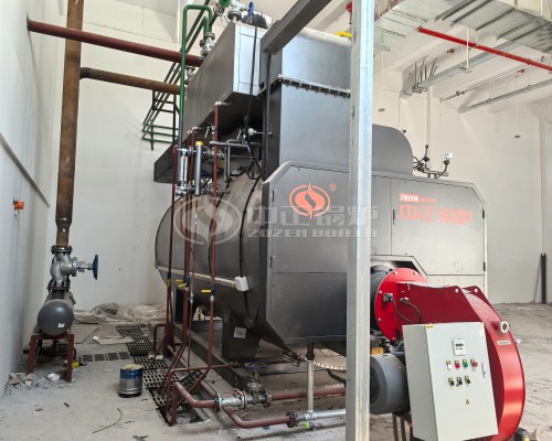 ZOZEN Steam Boiler for Dairy Factory
