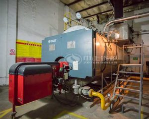 Heavy Oil Steam Boiler in Iraq