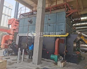 10 Ton Solid Fuel Biomass Fired Steam Boiler for Fertilizer Plant