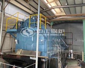 10 Ton Wood Steam Boiler for Foam Industry