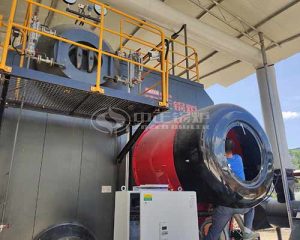 20 Ton SZS Series Gas Steam Boiler