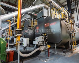 Indonesia Natural Gas Fire Tube Boiler 5ton