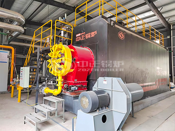 20 TPH Gas Fired Steam Boiler in Lithium Carbonate Production Industry