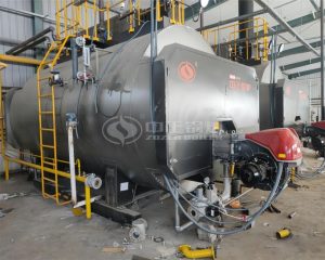 WNS Series Gas Fired 5 Ton Boiler