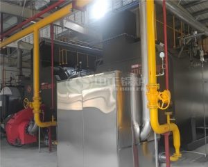 ZOZEN 10 Tph Condensing Gas Steam Boiler in Brewing Industry