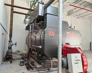 WNS Series Steam Boiler for Dairy Factory