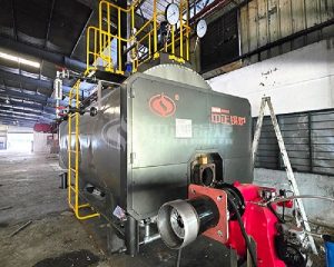 ZOZEN 3 Ton Diesel Steam Boiler for Chemical Industry in Malaysia