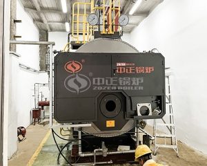 ASME Certified 2 Ton Light Diesel Steam Boiler by for Chemical Industry